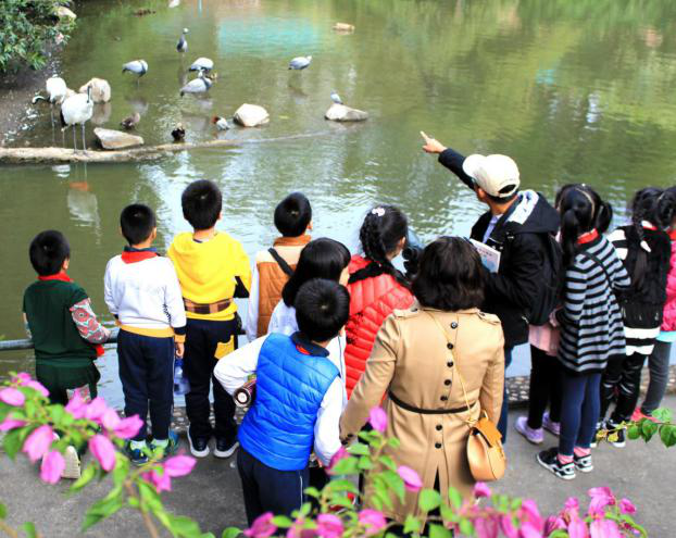 1523344848144086040.png 006.png